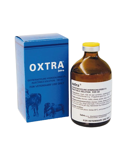 Oxtra